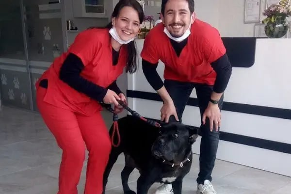 CanBu Veteriner Kliniği - Resim 15