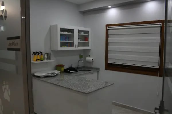 CanBu Veteriner Kliniği - Resim 20