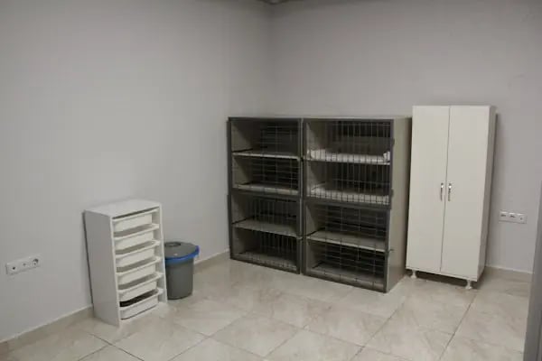 CanBu Veteriner Kliniği - Resim 17