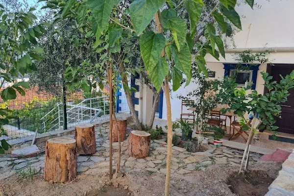 Athina Villa - Resim 4