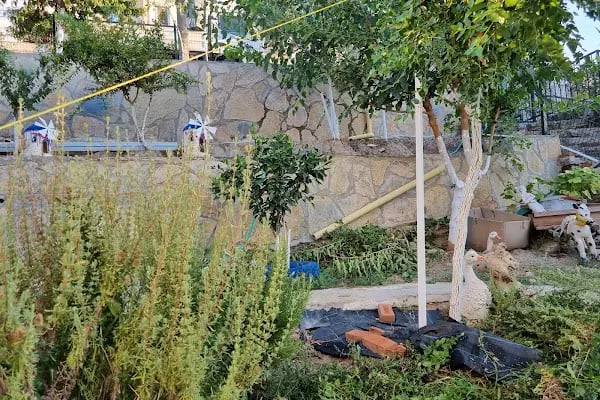 Athina Villa - Resim 15