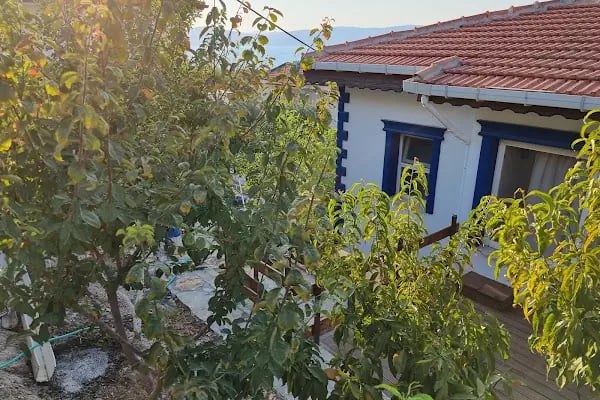 Athina Villa - Resim 13