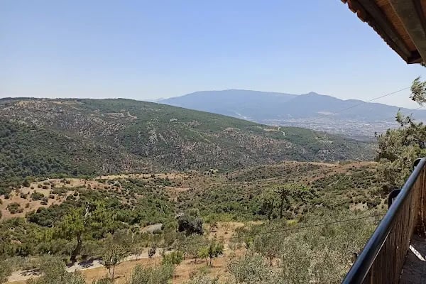 Reçine At Çiftliği - Resim 8