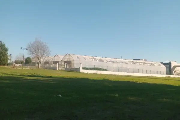Çukurova Üniversitesi Biyoteknoloji Araştırma ve Uygulama Merkezi - Resim 2