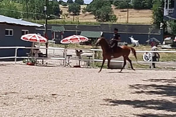 BAŞKENT ATLİ SPOR KULÜBÜ - Resim 20