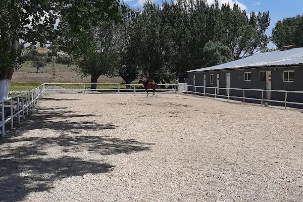 BAŞKENT ATLİ SPOR KULÜBÜ - Resim 2