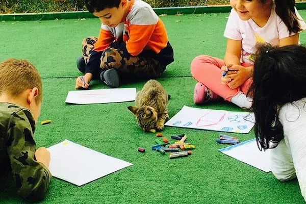 Mutlu Çocuk Anaokulu - Resim 4