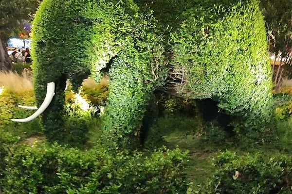 Üçkuyular Aktarmalı Otobüs Son Durağı - Resim 20