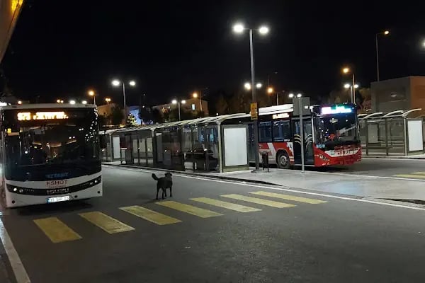 Üçkuyular Aktarmalı Otobüs Son Durağı - Resim 3