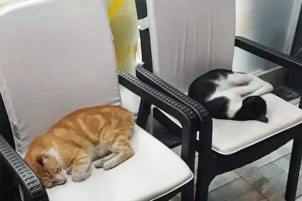 Vetropol Veteriner Kliniği - Resim 19