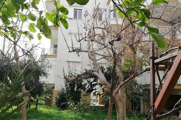 100. Yıl Sitesi - Resim 2