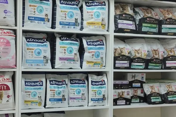 Armatürk Akvaryum Petshop - Resim 6