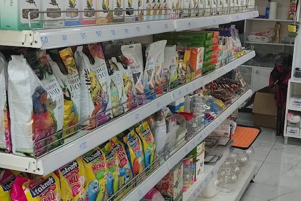 Armatürk Akvaryum Petshop - Resim 3