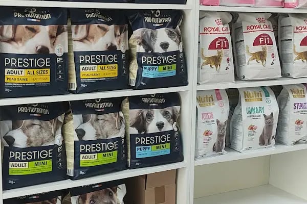 Armatürk Akvaryum Petshop - Resim 5