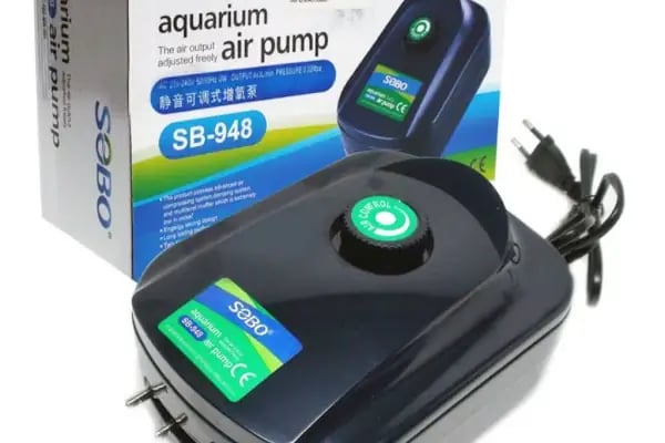 Armatürk Akvaryum Petshop - Resim 11