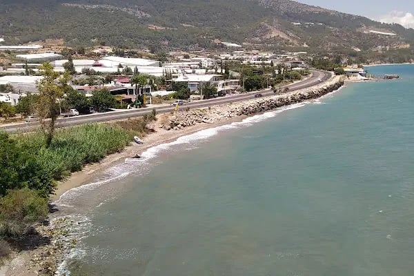 Apollo Beach Club - Resim 11