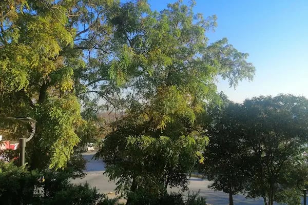 Ahmet Yesevi Parkı - Resim 15