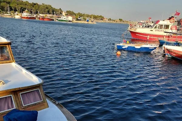 Ahmet Yesevi Parkı - Resim 17