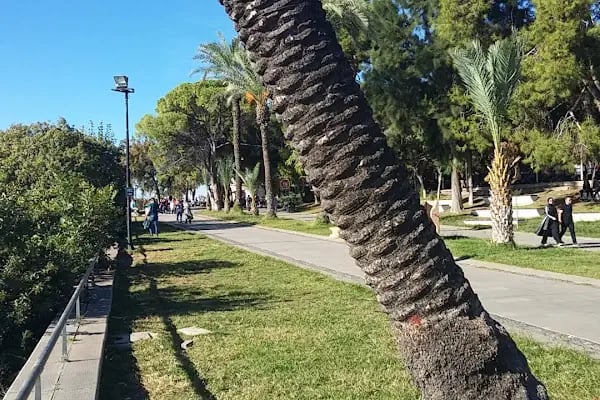 Kışla Pansiyon - Resim 8