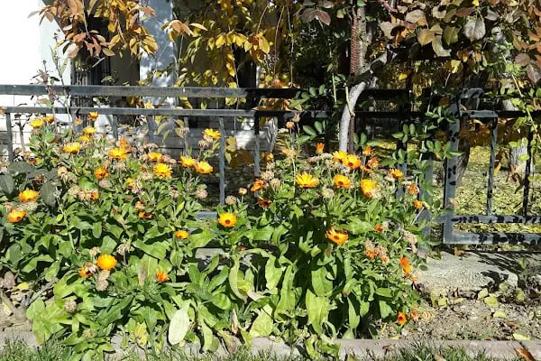 Akkent Sitesi - Resim 12