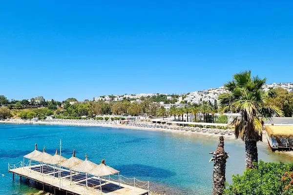 Suelo Flat Villa - Resim 5