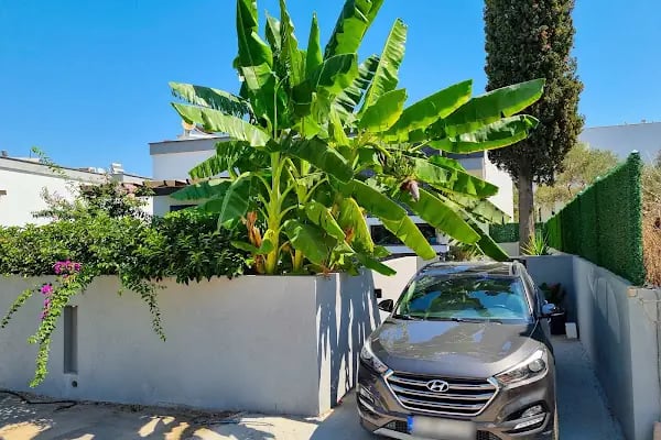Suelo Flat Villa - Resim 13