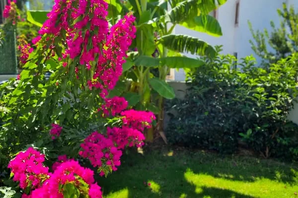 Suelo Flat Villa - Resim 20