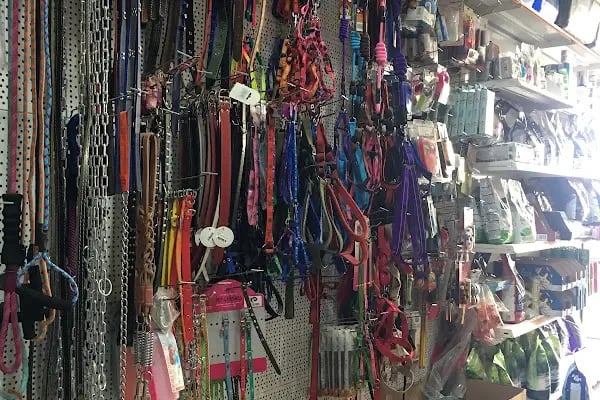 SİMAY PETSHOP - Resim 9