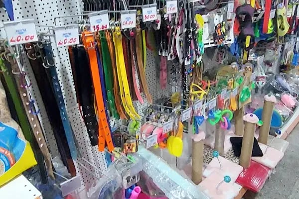 SİMAY PETSHOP - Resim 6