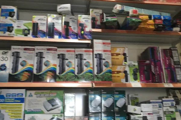 SİMAY PETSHOP - Resim 15