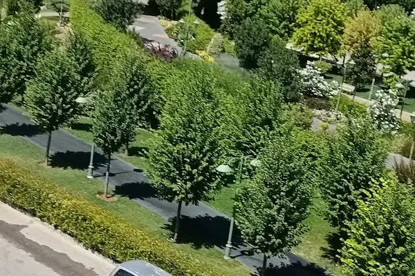 Mucize Aile Psikolojik Danışmanlık ve Sağlıklı Yaşam Merkezi - Resim 5