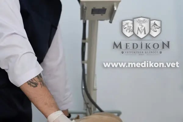 Medikon Veteriner Kliniği - Resim 7
