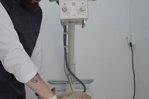 Medikon Veteriner Kliniği - Resim 12