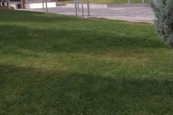 Selçuklu Belediyesi Süleyman Çelebi Kütüphanesi - Resim 5