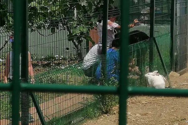 15 Temmuz Millet Bahçesi - Resim 16
