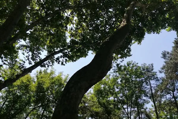 15 Temmuz Millet Bahçesi - Resim 13