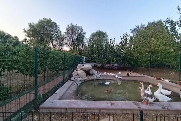 15 Temmuz Millet Bahçesi - Resim 11