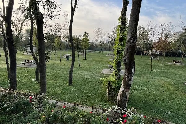 15 Temmuz Millet Bahçesi - Resim 3