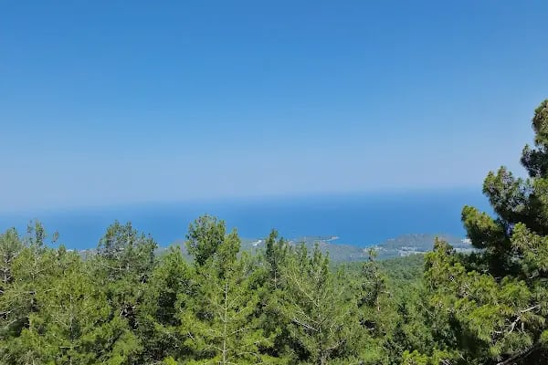 Olympos Teleferik - Resim 8