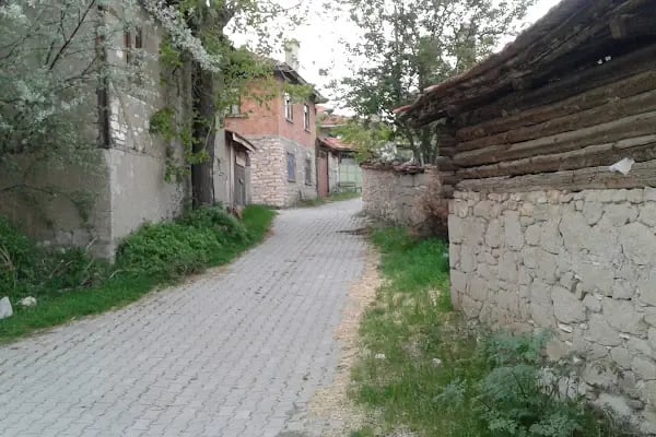 Ballısaray Eski Cami - Resim 18