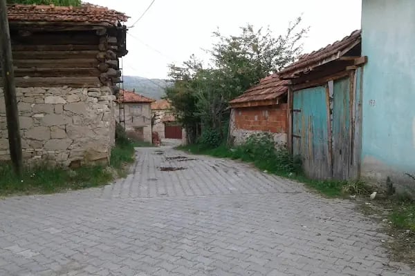 Ballısaray Eski Cami - Resim 19