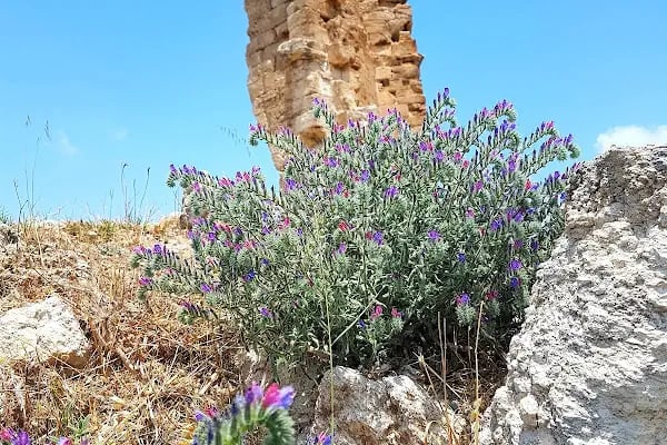 Azize Thecla Yeraltı Kilisesi - Resim 13