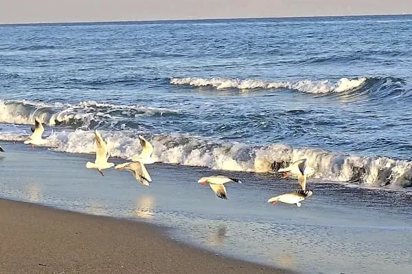 Mezitli Tece karavan parkı - Resim 4
