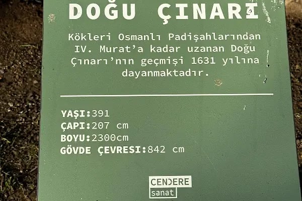 Cendere Sanat Müzesi - Resim 12