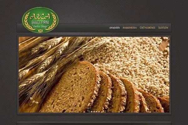 Alanya Web Tasarım Yazılım Hizmetleri - Resim 5