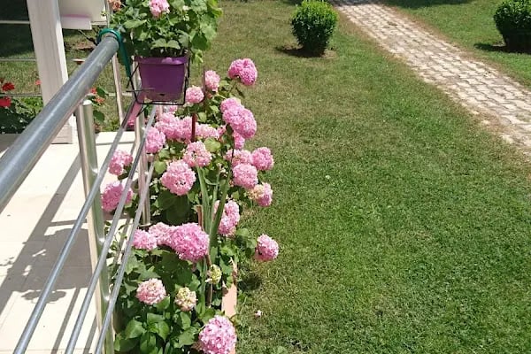 İlibat Sitesi - Resim 13