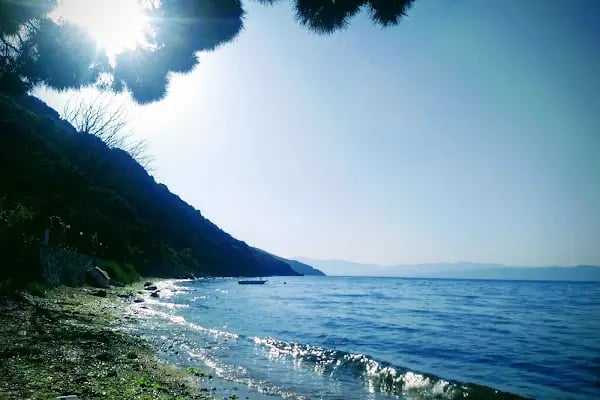 İlibat Sitesi - Resim 9