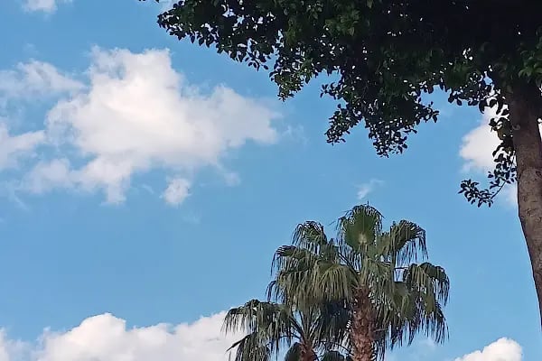 Sakarya Parkı - Resim 5