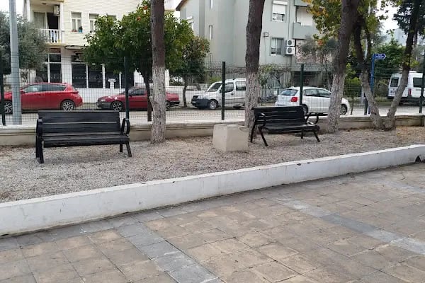 Ptt Kargo Muğla Şubesi - Resim 10