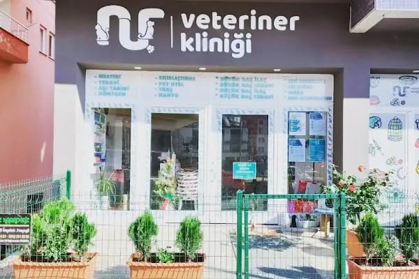 NUR VETERİNER KLİNİĞİ - Resim 13